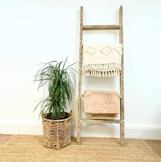 Chapwell Handcrafted Reclaimed Wooden Blanket Ladder